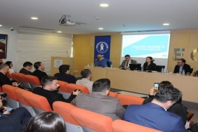 Döngüsel Ekonomi: İşbirliği ve İnovasyon