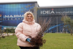 Dr. Aronia: İnovasyon ve Sağlık