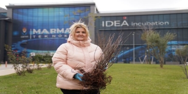 Dr. Aronia: İnovasyon ve Sağlık