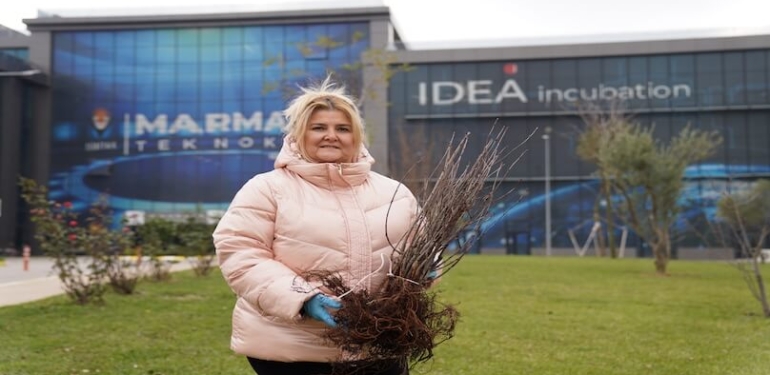 Dr. Aronia: İnovasyon ve Sağlık