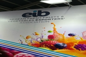 Gıda İhracatında Singapur Hedefi