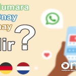 WhatsApp Başka Ülke Numarası Nasıl Alınır?