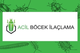 Profesyonel Böcek İlaçlama Hizmeti