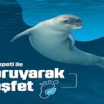 Tatilde Doğayı Koruyarak Keşfedin