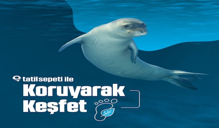 Tatilde Doğayı Koruyarak Keşfedin