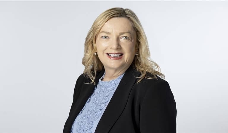 Pladis Hızlandırma Programı