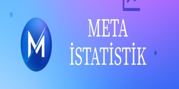 Akademik Çalışmalarda İstatistik Analizin Önemi